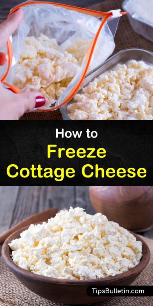 2 Quick Ways to Freeze Cottage Cheese