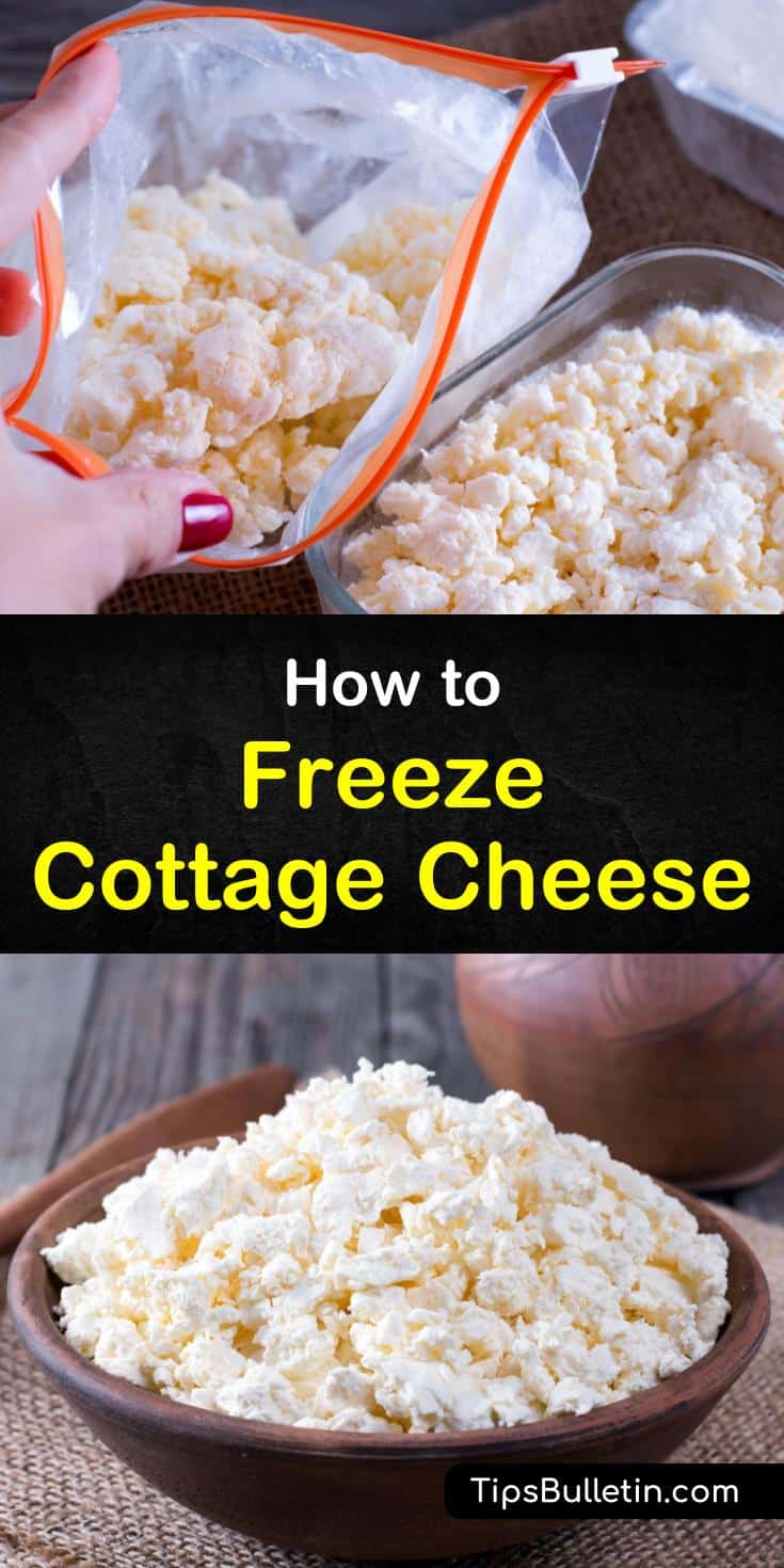 Freezing cottage cheese is possible, but it will change the taste and texture once thawed. To prevent your thawed cottage cheese from drying out you can add about a tablespoon of sour cream for each cup of cottage cheese. #cottagecheese #freezing #frozen