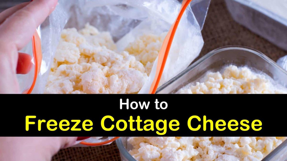 2 Quick Ways to Freeze Cottage Cheese