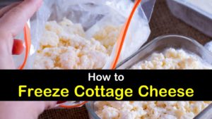 can you freeze cottage cheese titleimg1