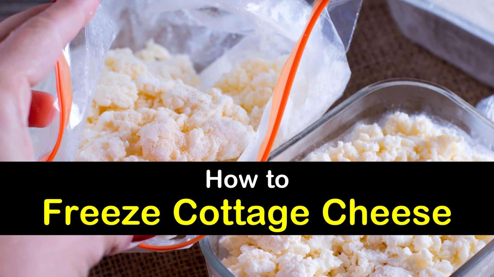 2 Quick Ways To Freeze Cottage Cheese