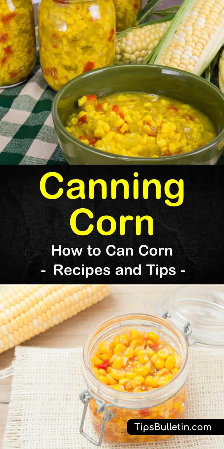 Find out the best way of canning corn with a pressure canner. Our guide and canning recipes show you how to preserve your corn on the cob for long-term use and gets it ready for wintertime salsa or relish with chili powder. It’s easy and fun! #homepreservation #canning #corn