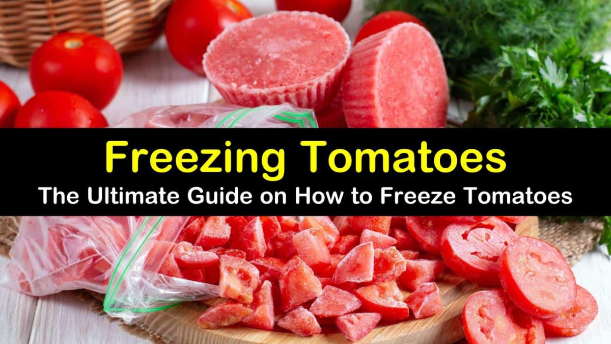 6 Brilliant Ways to Freeze Tomatoes