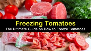 freezing tomatoes titleimg1