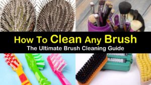 how to clean a brush titleimg1