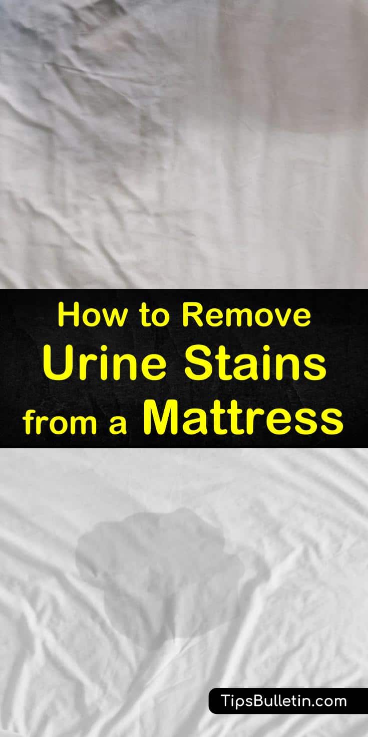 Try any of these 7 tips for how to remove urine stains from a mattress. Learn how to clean cat pee and stains caused by pets using hydrogen peroxide and baking soda. Find out the best DIY cleaning tips to use on tough odors and stains on your mattress. #remove #urine #stains #mattress