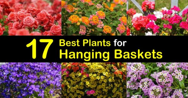4 x Hanging Basket Liner 32 x 32cm square Marginals Gardens Lilies 
