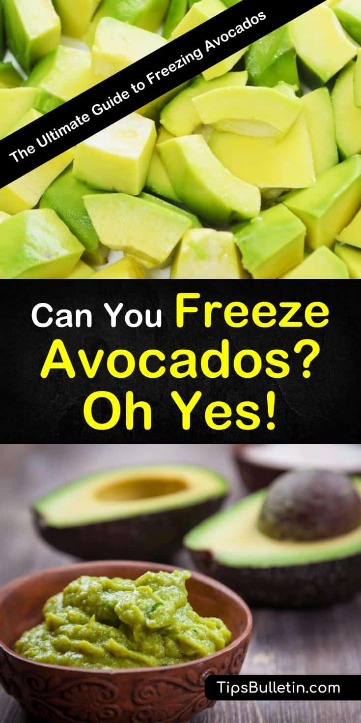 To prolong the enjoyment of avocado season you can begin freezing your avocados for use at a later date. Frozen avocados stay fresh in freezers for up to six months and while you may not eat them plain, they are great to cook with. #freezingavocados #howtofreezeavocados #frozenavocados