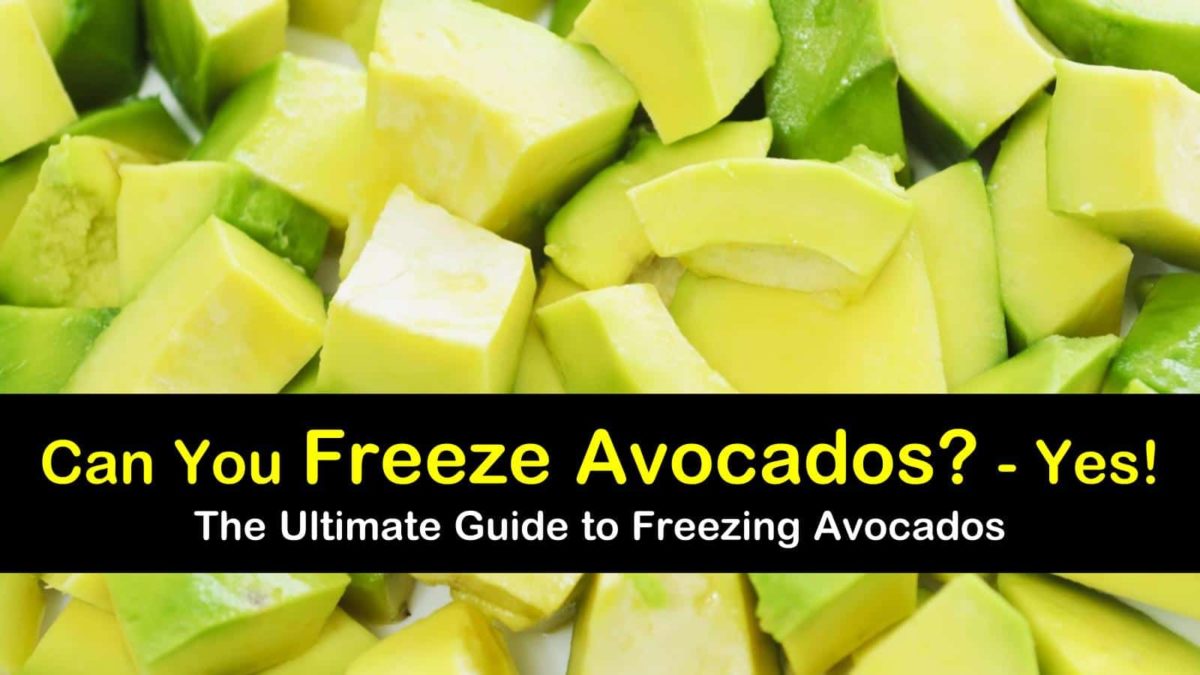 3 Simple Ways to Freeze Avocados