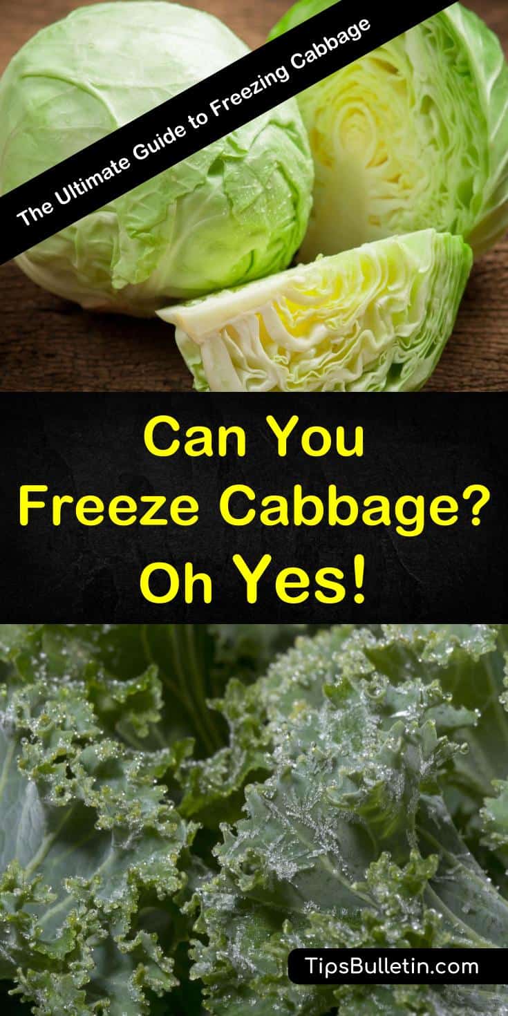 Can you freeze cabbage for long-term storage? You bet you can, and our guide gives you a tried-and-true process to follow. We show you how to make your cabbage last all year long with tips and recipes. #freezecabbage #cooking #freezing