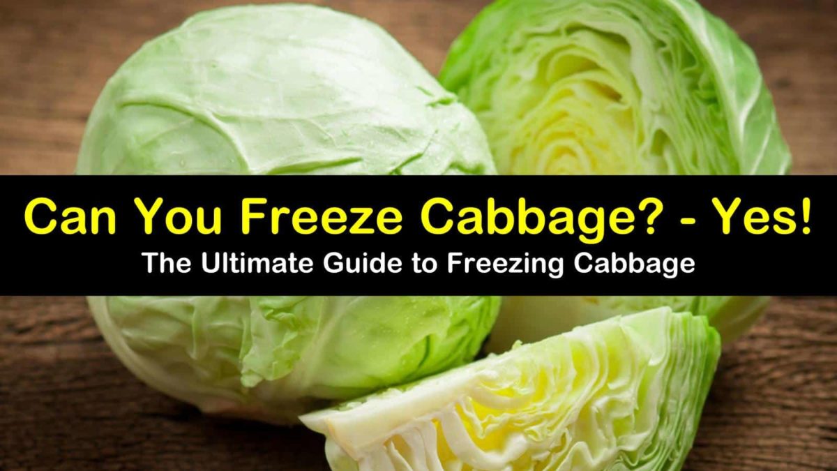 2 Simple Ways to Freeze Cabbage