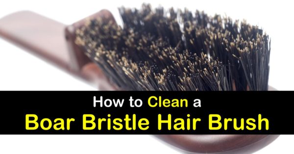 3 Simple to Clean a Boar Bristle Hair Brush