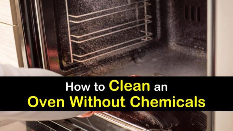 3 Natural Ways to Clean an Oven without Chemicals