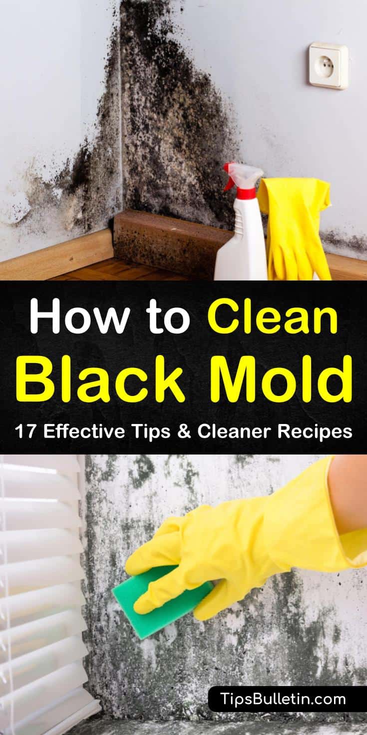 In this guide on how to clean black mold, discover the best methods for mold remediation. Use common cleaning products like hydrogen peroxide and vinegar to blast through black mold. Discover what equipment to keep handy, such as gloves, a respirator, and a spray bottle. #clean #black #mold