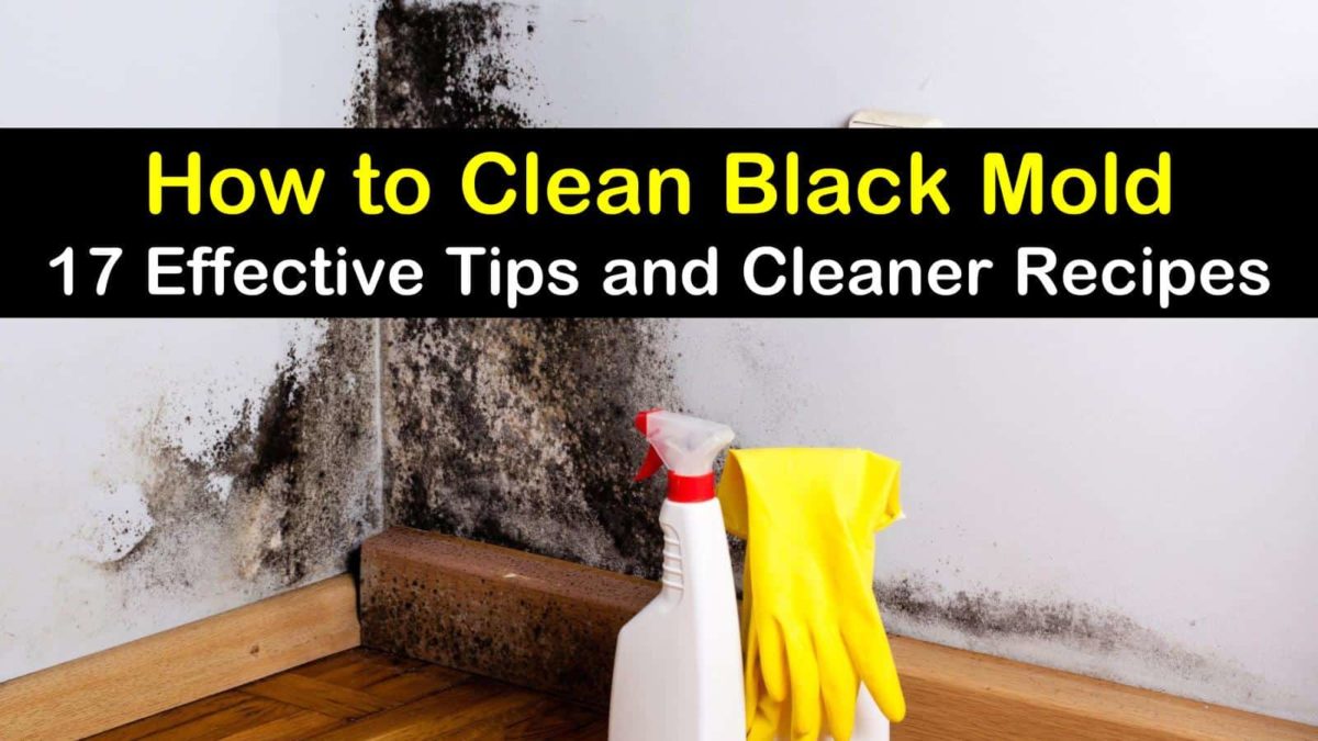28 Effective Ways to Clean Black Mold