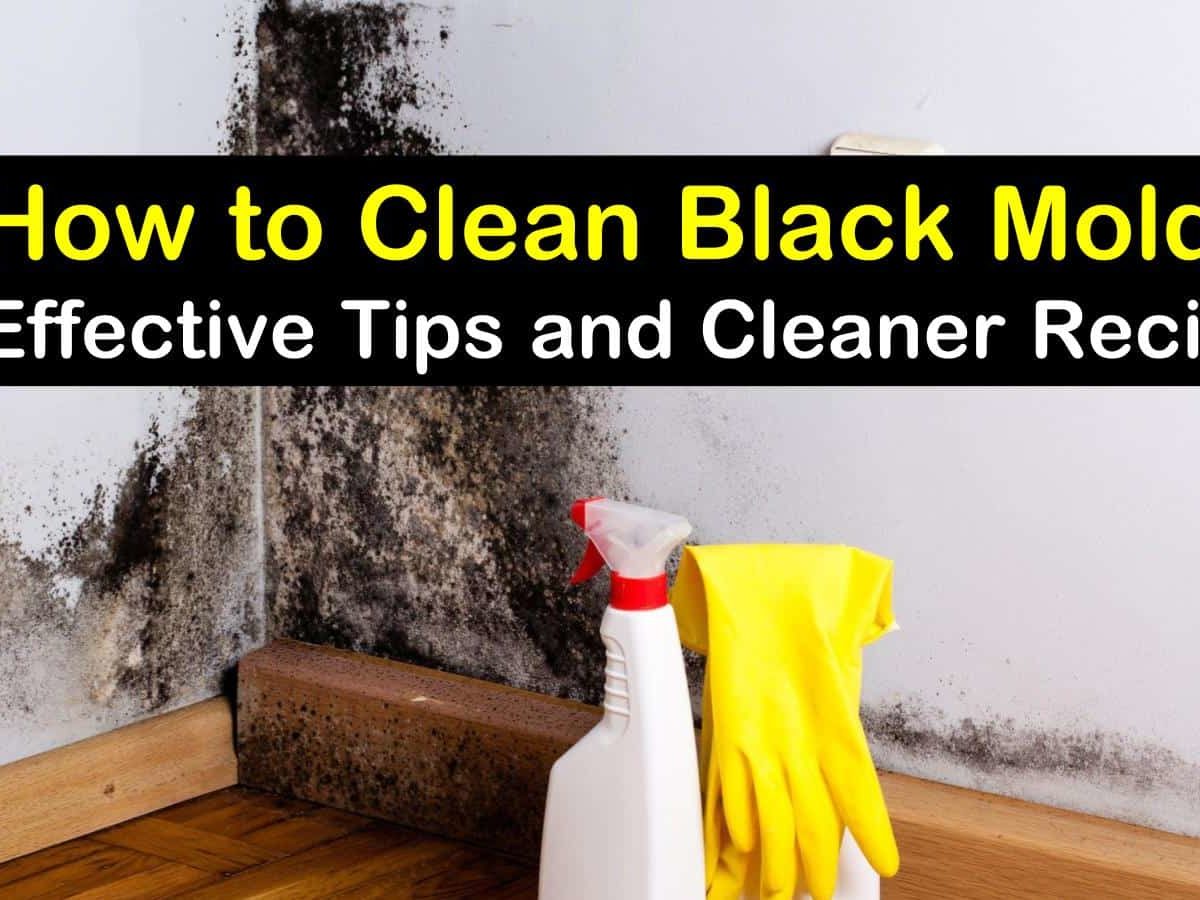 27 Effective Ways to Clean Black Mold