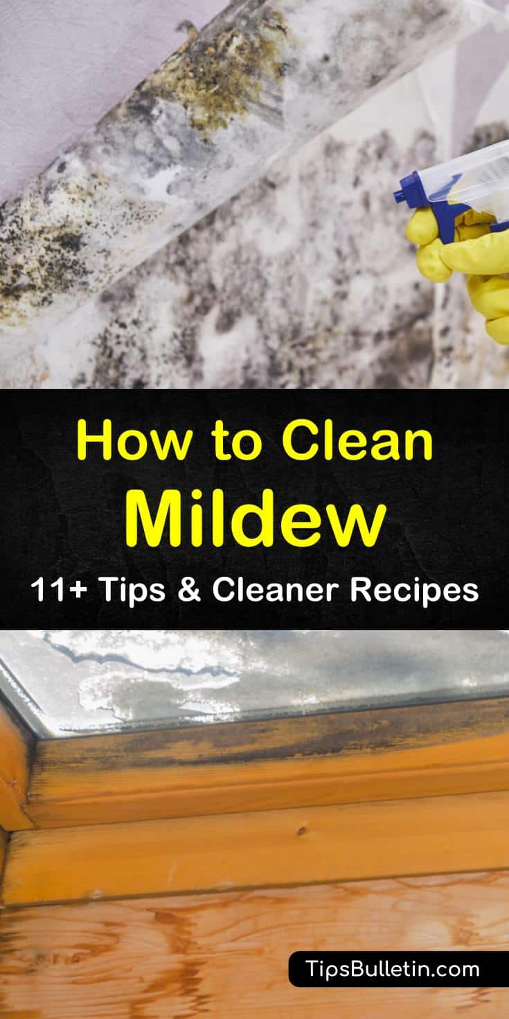 While you may be able to prevent mold by using a dehumidifier, there may be times when that is not enough. We’ve got cleaning solutions for removing mildew stains and cleaning moldy areas using white vinegar, warm water, chlorine bleach, and hydrogen peroxide. #howtocleanmildew #mildew #cleanmildew