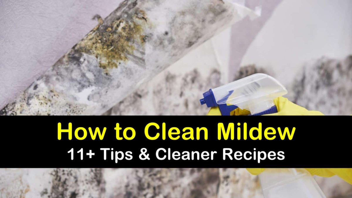 30+ Amazing Ways to Clean Mildew