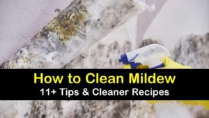 how to clean mildew titleimg1