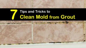 how to clean mold from grout titleimg1