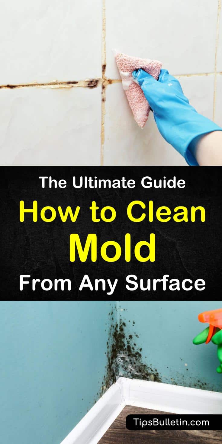 Discover how to clean mold with our guide. We show you how to handle mold remediation to address a black mold problem in drywall or other areas. You’ll learn how to clear your mold problem using baking soda, hydrogen peroxide, and other cleaning products. #cleanmold #cleaning #mold