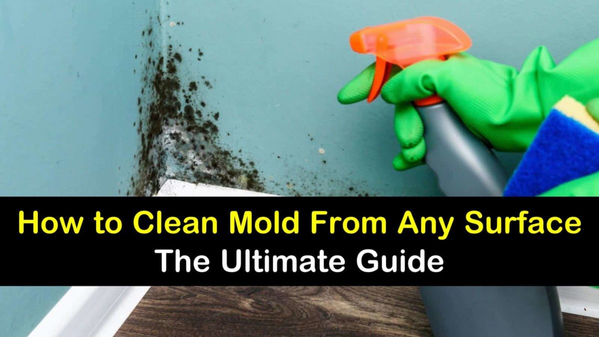26+ Amazingly Easy Ways to Clean Mold