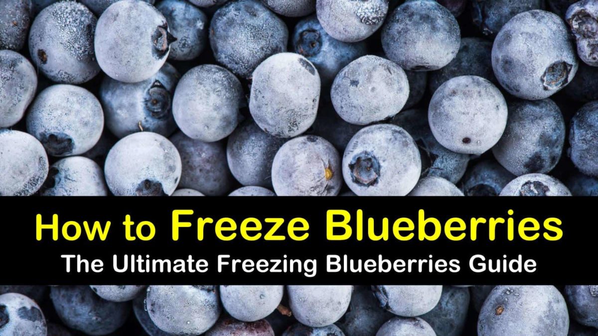 4 Incredible Ways to Freeze Blueberries