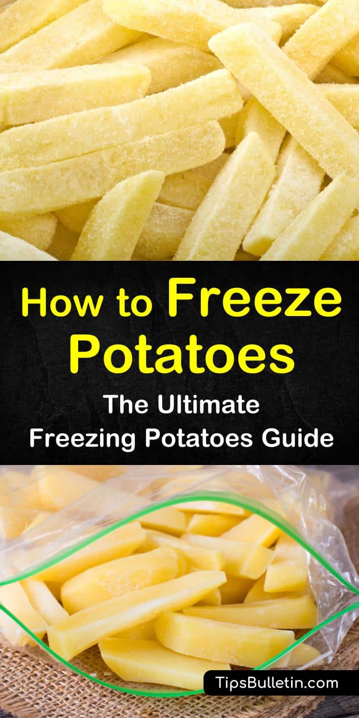 Learn how to freeze potatoes raw using blanching methods. Discover how to store mashed potatoes and french fries that have already been cooked. Try a new recipe for how to make a yummy casserole from frozen potatoes. #howto #freeze #potatoes