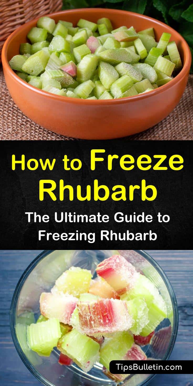 Learn how to freeze rhubarb using the dry pack method for pie fillings and rhubarb cakes. Find out how to make sugar water to prepare rhubarb in syrup for use as freezer jam and sauce. Tickle your tastebuds with an amazing recipe for rhubarb crumble. #freeze #rhubarb #freezingrhubarb