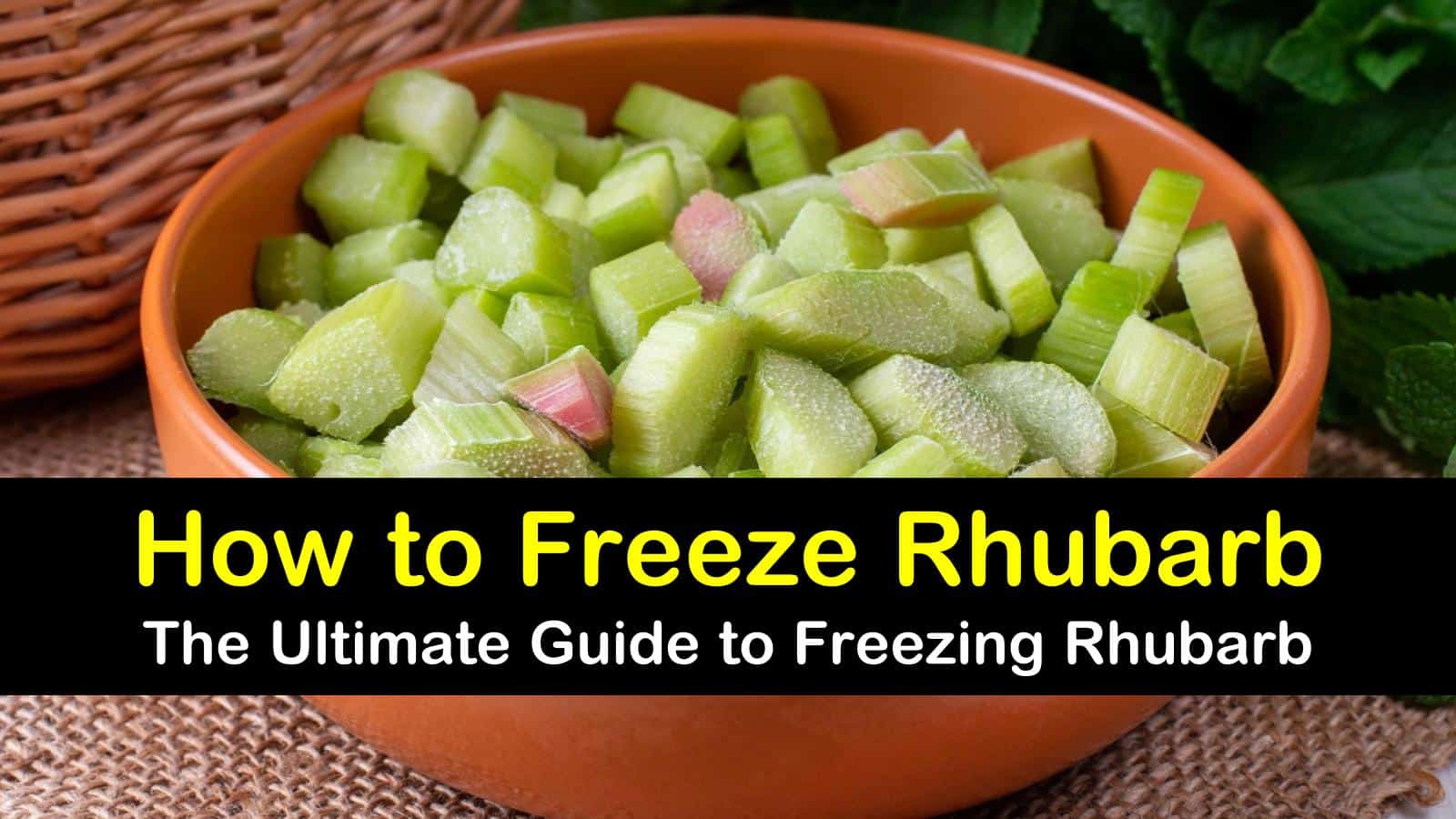 how to freeze rhubarb titleimg1