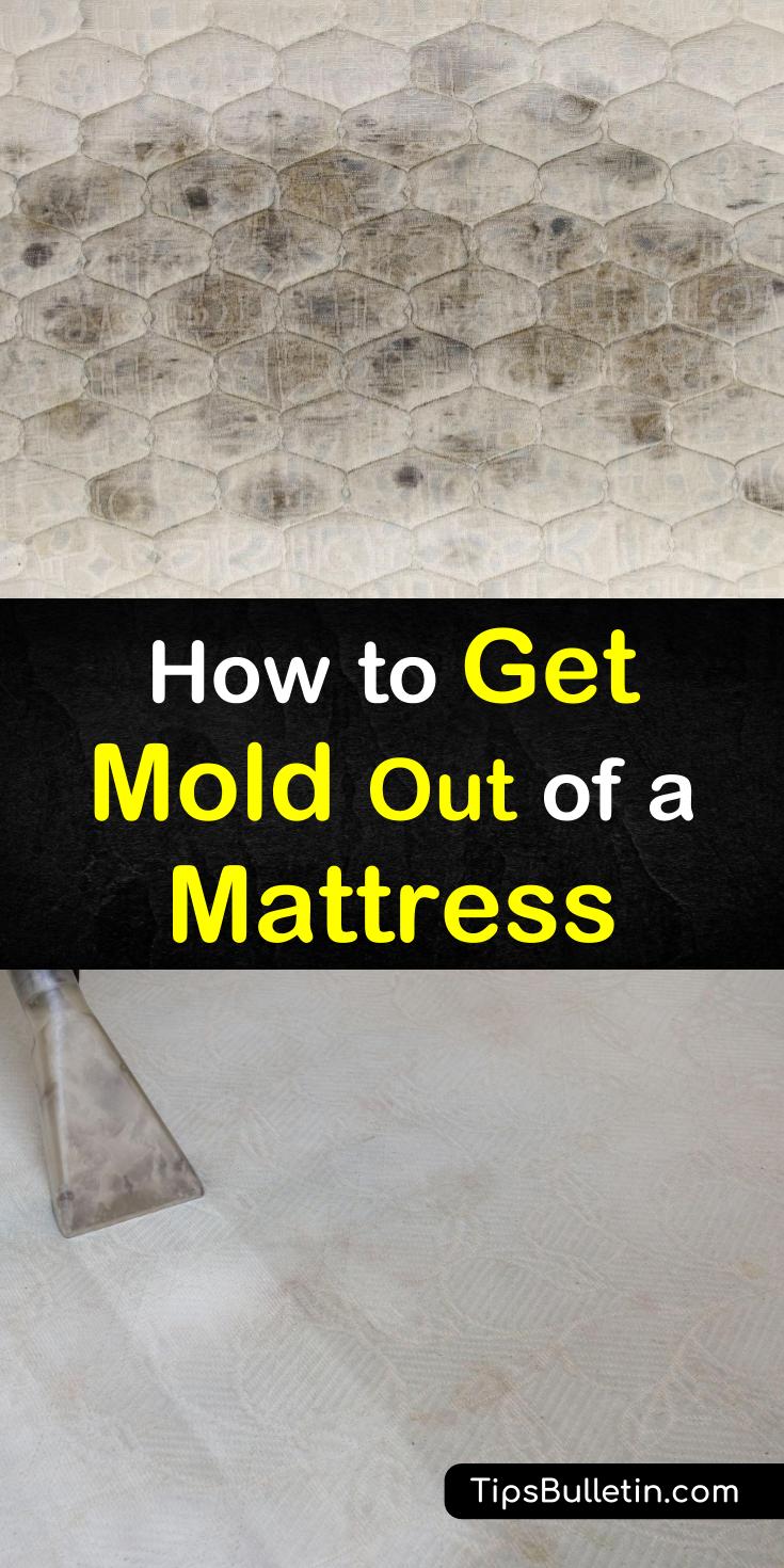 Memory foam mattresses are prone to mold. That mold then attracts dust mites, and it escalates from there. But don’t worry, our tips can eradicate that mold for you! #moldymattress #dustmites #moldcleaner