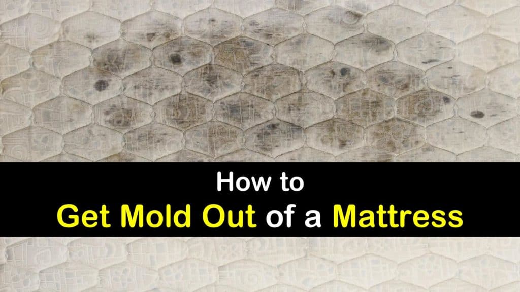 getting mold out of a mattress cover