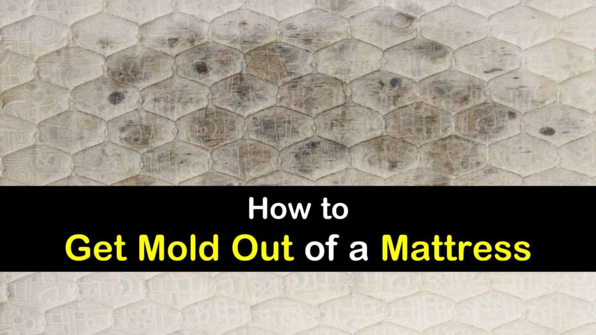 can i clean moldy mattress
