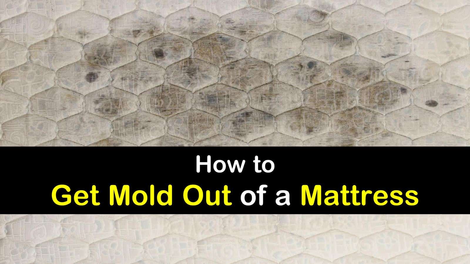 26 Quick & Easy Ways to Get Mold Out of a Mattress