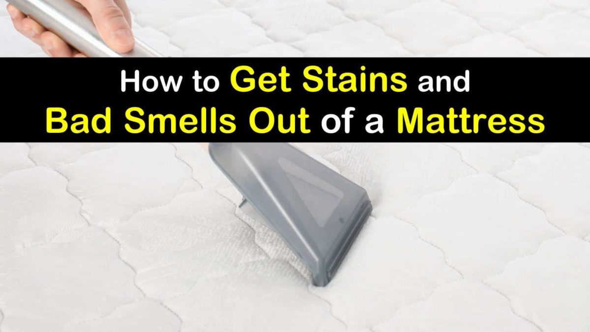 stains tipsbulletin