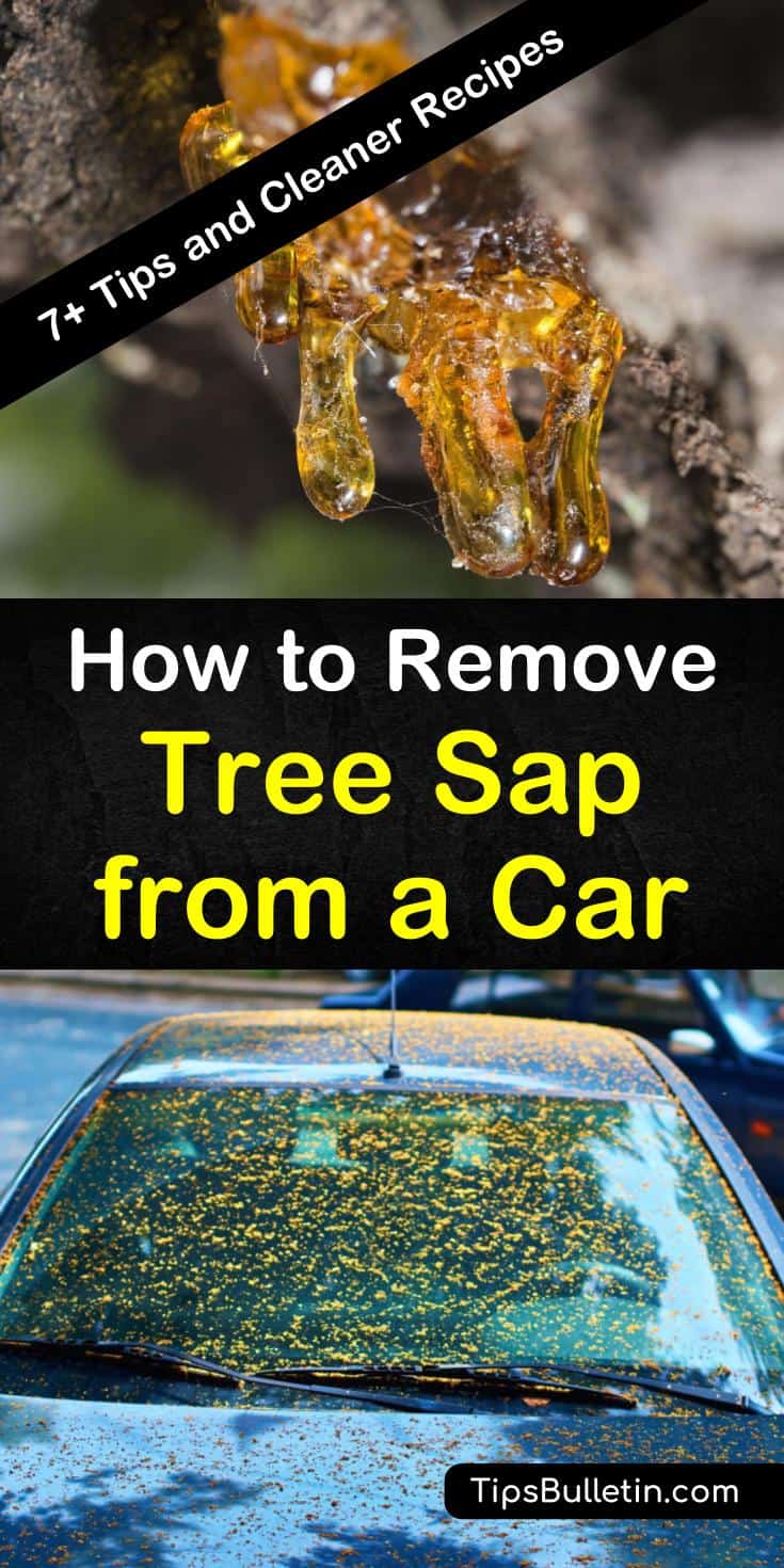 remove tree sap from car