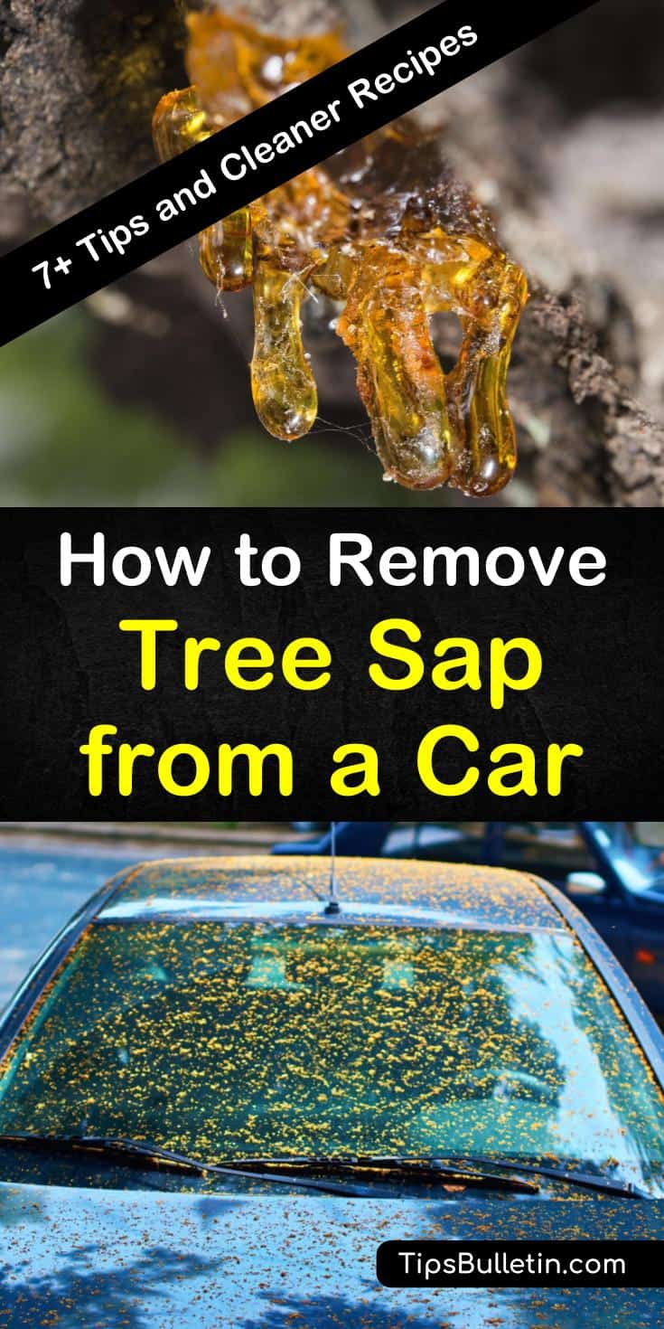 Check out our cleaning tips and recipes for removing tree sap from vehicles. You can even remove sap from the car window using these tips. Remove sticky tree sap using items such as fingernail polish and hand sanitizer. #removesapfromcar #sapremover #sapcleaner