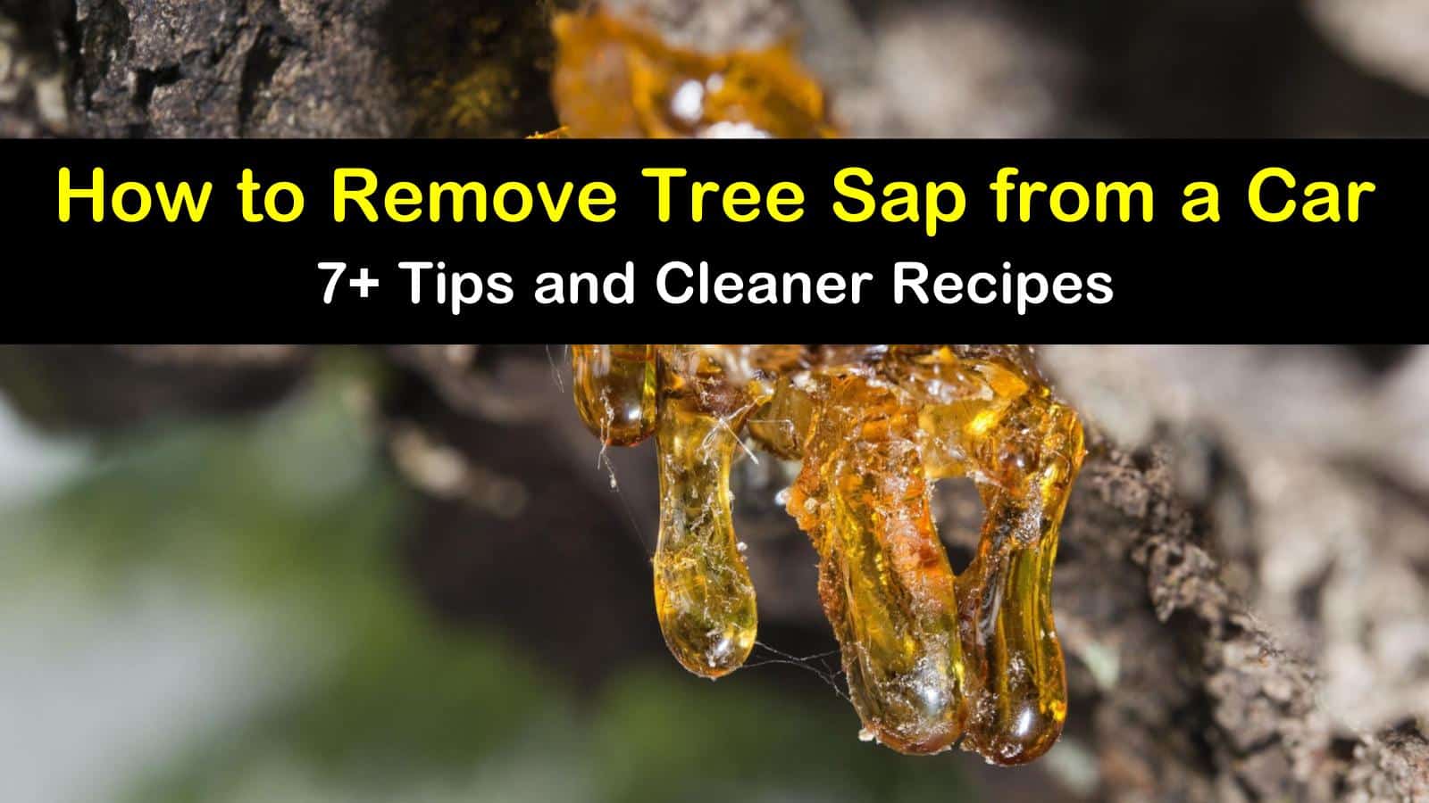 How to Get Sap Off a Car