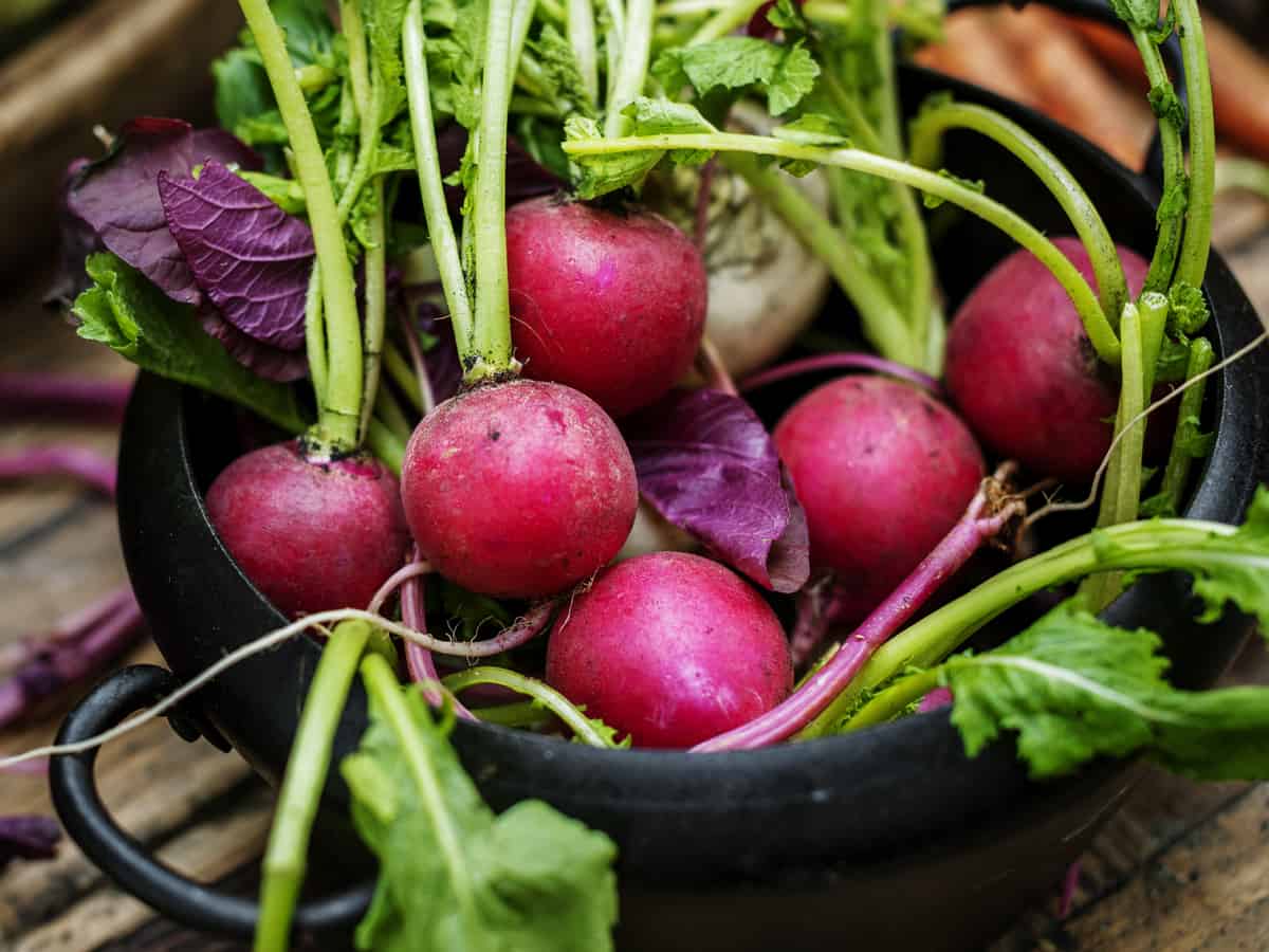 you can eat the root and leaves of the turnip