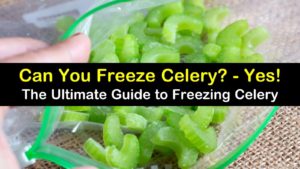 can you freeze celery titleimg1