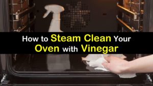 clean an oven with vinegar steam titleimg1