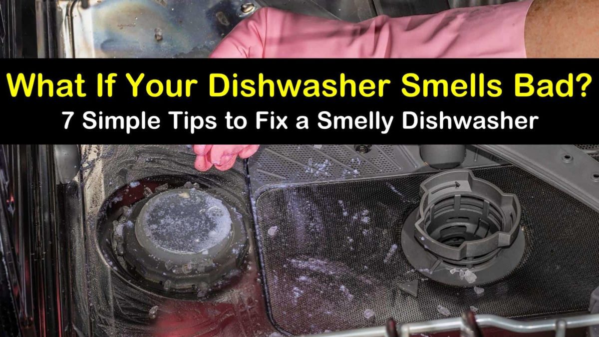 10 Simple Ways to Fix a Dishwasher that Smells Bad