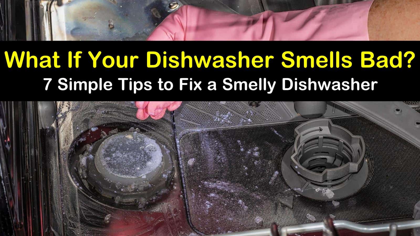 smelly samsung dishwasher