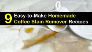 homemade coffee stain remover titleimg1