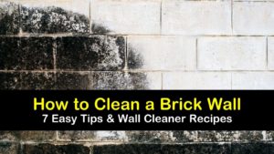 how to clean a brick wall titleimg1