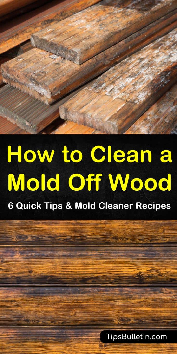 Why Mold Removal From Wood Is Harder Than You Think | Advantaclean