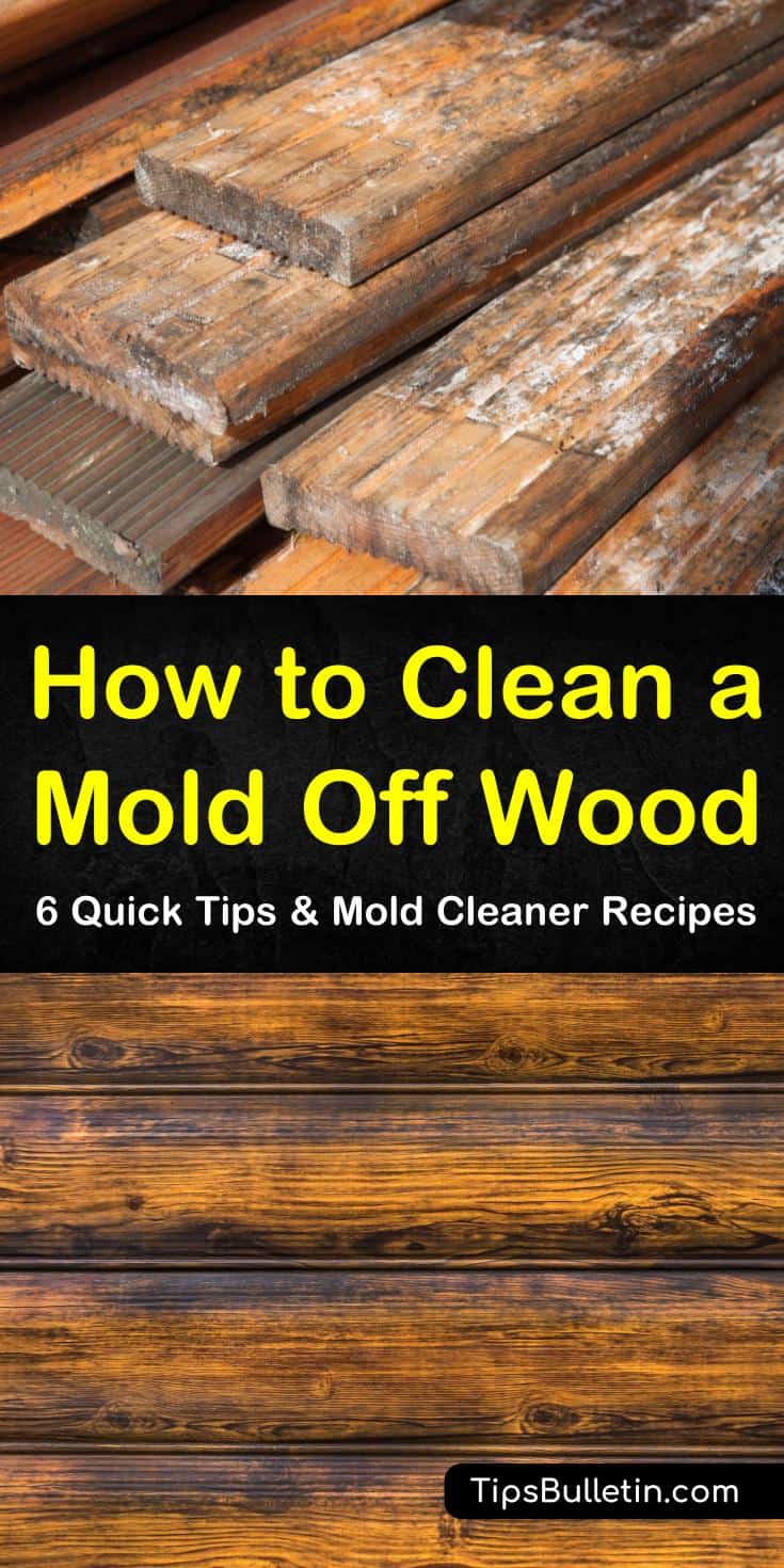 27 Quick Ways to Clean Mold Off Wood