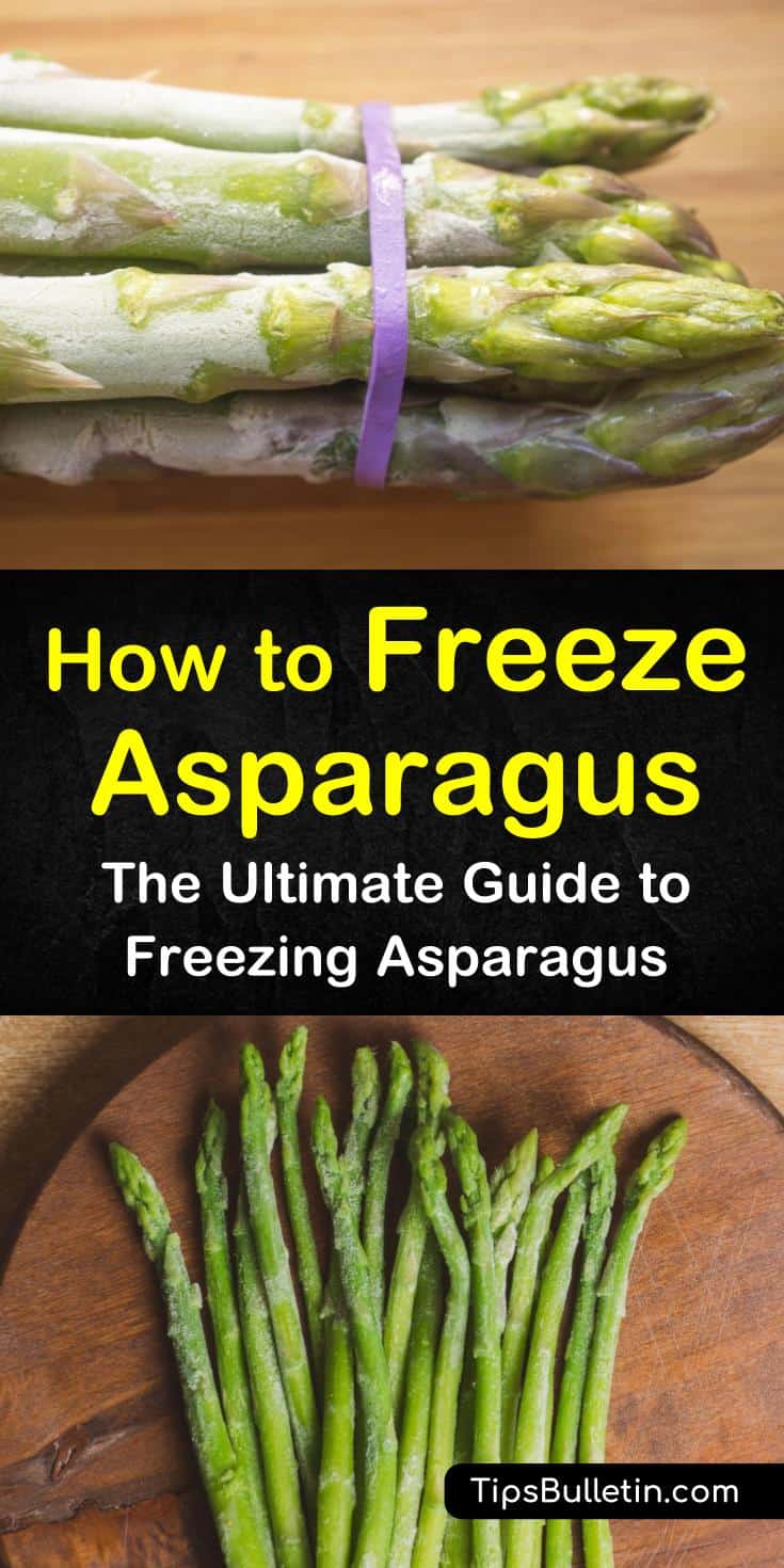 Learn how to store asparagus in your freezer and how to make our favorite frozen asparagus recipe! This simple guide is suitable for all kitchens! #freezingasparagus #asparagusrecipe #frozenasparagus