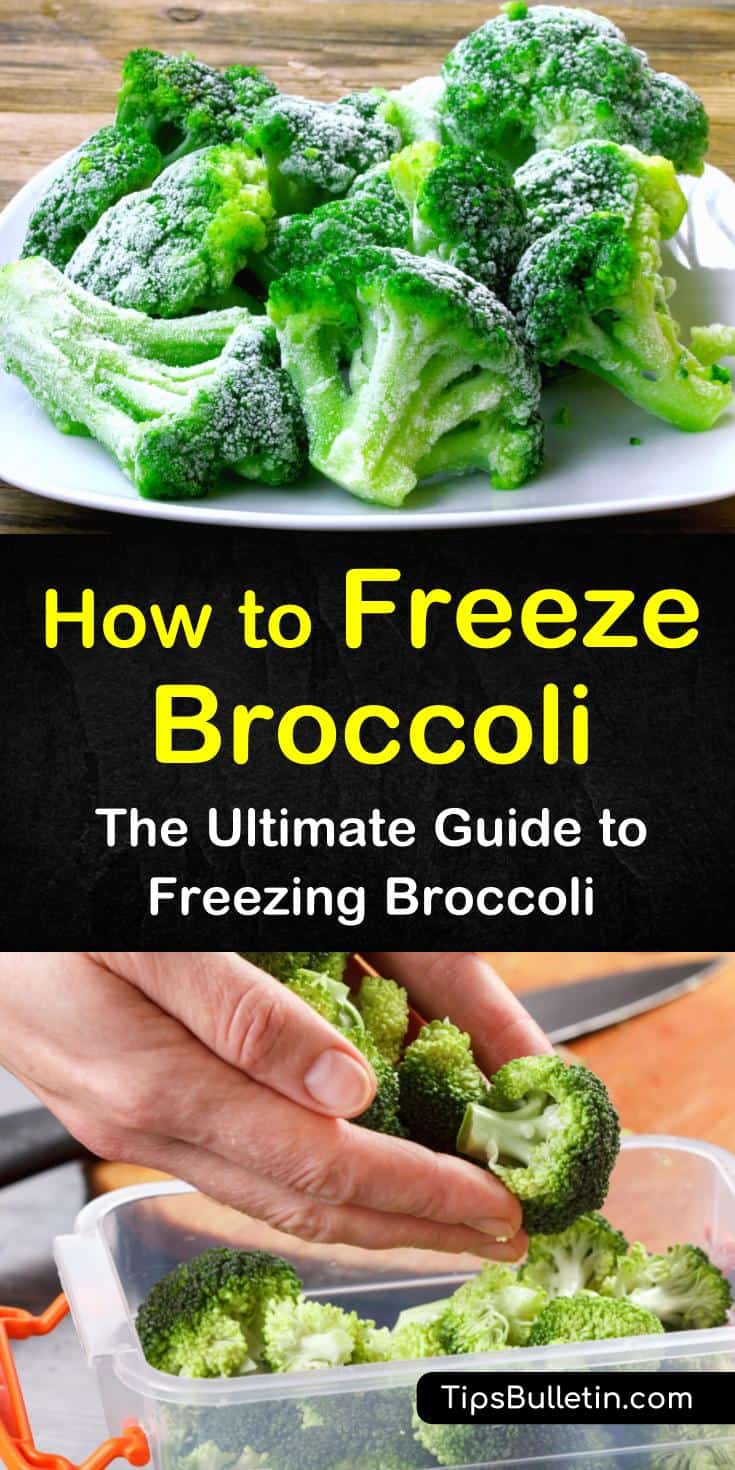 Learn how to freeze broccoli for later use, whether you can freeze them without blanching, and after-freezing cooking recipes. This guide will teach you how to make food and master meal prep with the addition of tasty broccoli all year long. #broccoli #freezing #frozen
