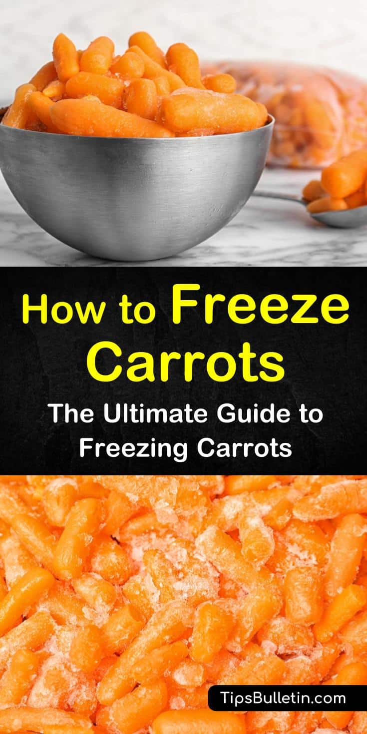 Learn how to freeze carrots from the garden with or without blanching. These DIY tips will teach you how to freeze carrots whole or chopped, and we include directions for how to make a carrot cake. #carrotcakerecipe #freezingcarrots #carrots